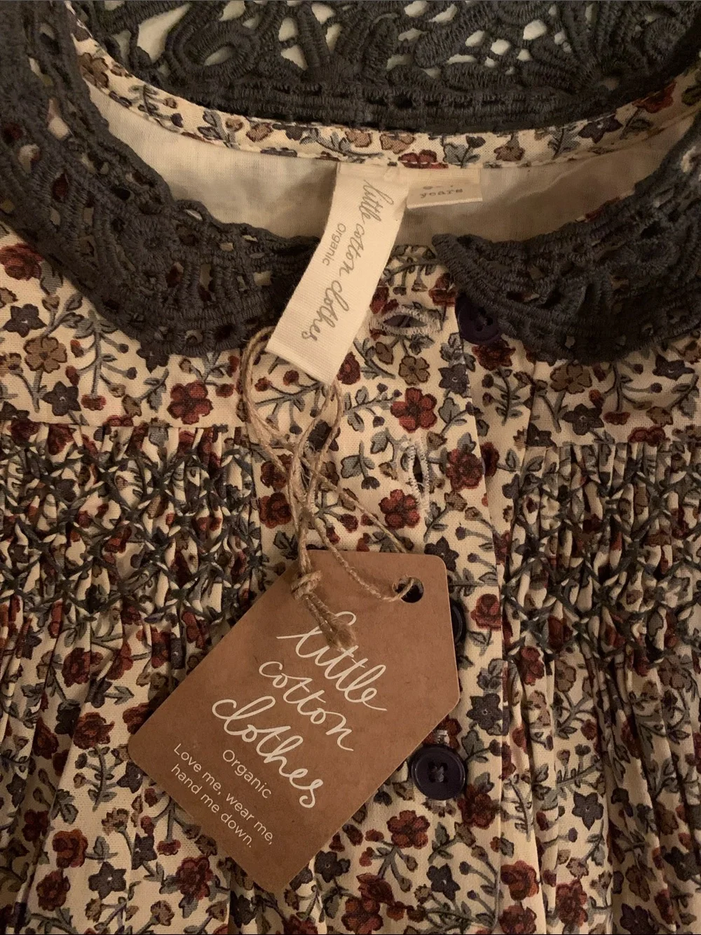 Organic Cotton Little Cotton Clothes Etta Dress NWT